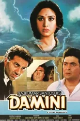 Damini-1993