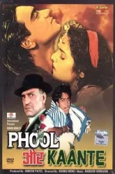 Phool-Aur-Kaante-1991